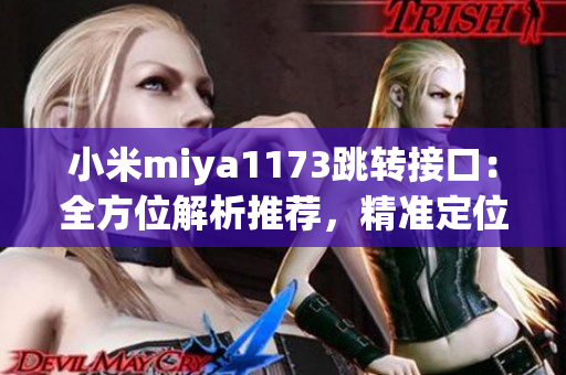 小米miya1173跳轉(zhuǎn)接口：全方位解析推薦，精準(zhǔn)定位用戶需求