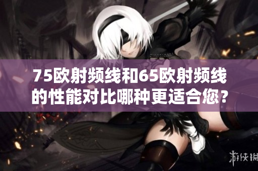 75歐射頻線和65歐射頻線的性能對比哪種更適合您？