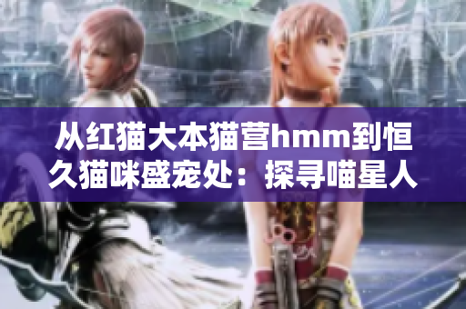 從紅貓大本貓營hmm到恒久貓咪盛寵處：探尋喵星人的神秘世界