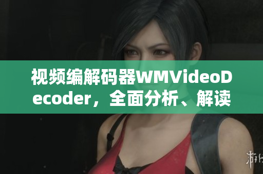 視頻編解碼器WMVideoDecoder，全面分析、解讀及應用指南