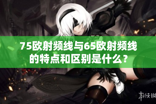 75歐射頻線與65歐射頻線的特點和區(qū)別是什么？