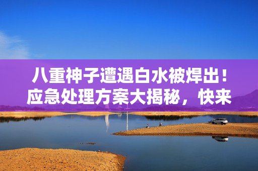 八重神子遭遇白水被焊出！應急處理方案大揭秘，快來了解！