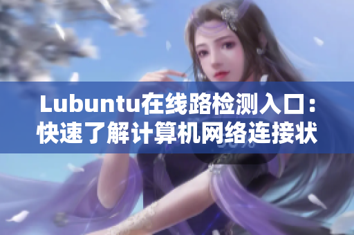 Lubuntu在線路檢測入口：快速了解計(jì)算機(jī)網(wǎng)絡(luò)連接狀態(tài)