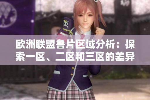 歐洲聯(lián)盟魯片區(qū)域分析：探索一區(qū)、二區(qū)和三區(qū)的差異與共通