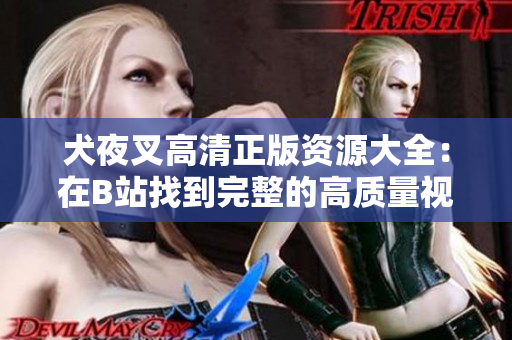 犬夜叉高清正版資源大全：在B站找到完整的高質量視頻資源