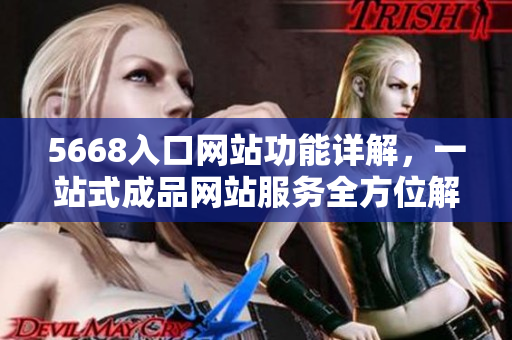 5668入口網(wǎng)站功能詳解，一站式成品網(wǎng)站服務全方位解讀