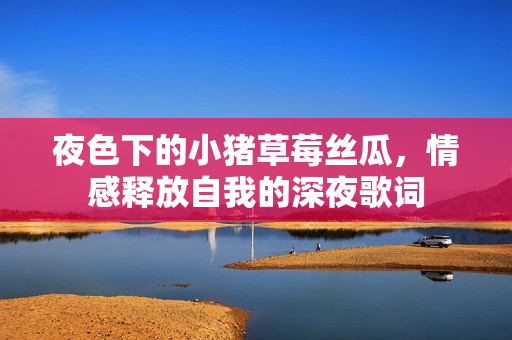 夜色下的小豬草莓絲瓜，情感釋放自我的深夜歌詞