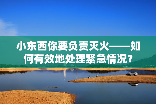 小東西你要負責滅火——如何有效地處理緊急情況？