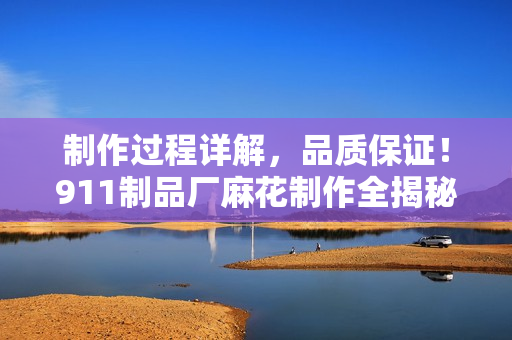 制作過程詳解，品質(zhì)保證！911制品廠麻花制作全揭秘