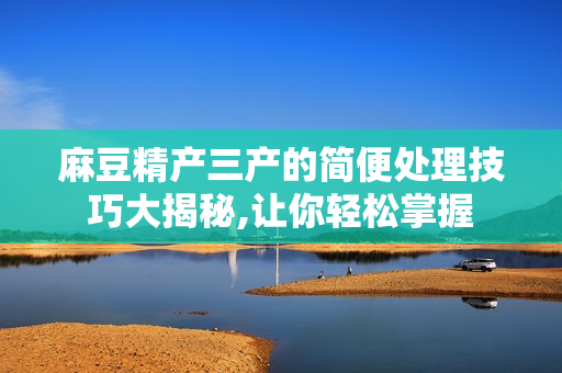 麻豆精產(chǎn)三產(chǎn)的簡便處理技巧大揭秘,讓你輕松掌握
