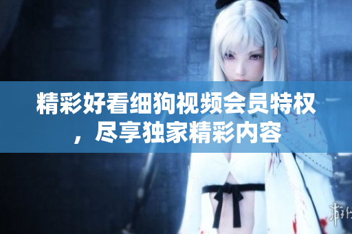 精彩好看細狗視頻會員特權，盡享獨家精彩內容