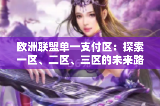 歐洲聯(lián)盟單一支付區(qū)：探索一區(qū)、二區(qū)、三區(qū)的未來路徑