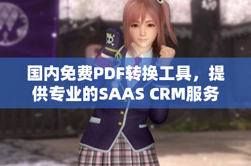 國內(nèi)免費(fèi)PDF轉(zhuǎn)換工具，提供專業(yè)的SAAS CRM服務(wù)