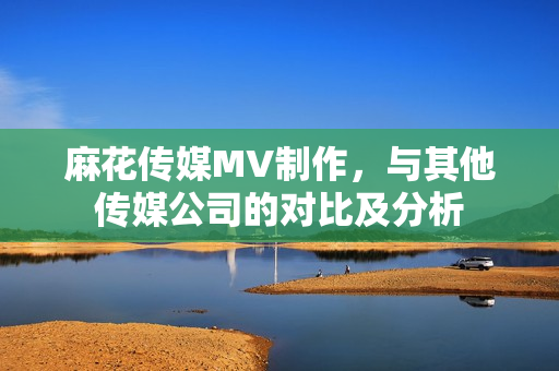 麻花傳媒MV制作，與其他傳媒公司的對比及分析