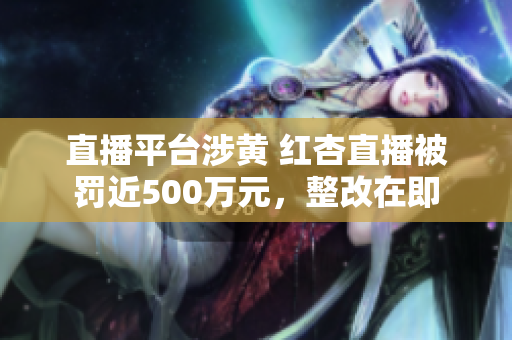 直播平臺涉黃 紅杏直播被罰近500萬元，整改在即