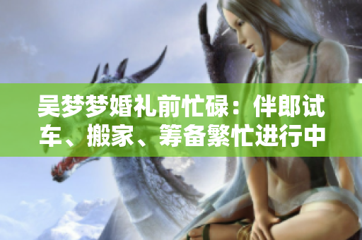 吳夢(mèng)夢(mèng)婚禮前忙碌：伴郎試車(chē)、搬家、籌備繁忙進(jìn)行中