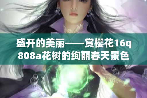 盛開(kāi)的美麗——賞櫻花16q808a花樹(shù)的絢麗春天景色