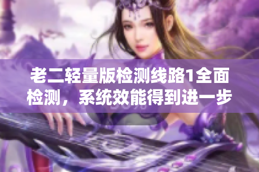 老二輕量版檢測線路1全面檢測，系統(tǒng)效能得到進一步提升