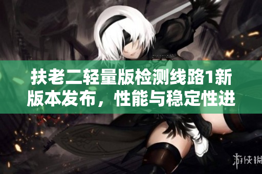 扶老二輕量版檢測線路1新版本發(fā)布，性能與穩(wěn)定性進(jìn)一步優(yōu)化