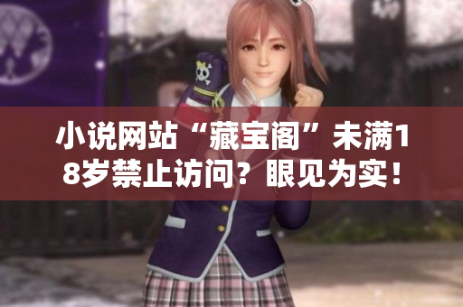 小說網(wǎng)站“藏寶閣”未滿18歲禁止訪問？眼見為實！