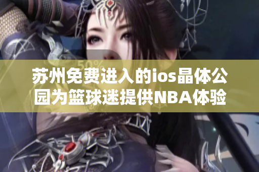 蘇州免費進入的ios晶體公園為籃球迷提供NBA體驗