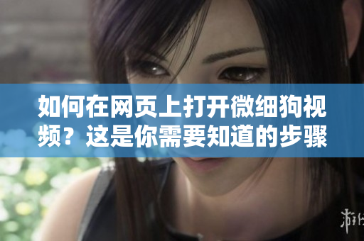 如何在網(wǎng)頁上打開微細狗視頻？這是你需要知道的步驟