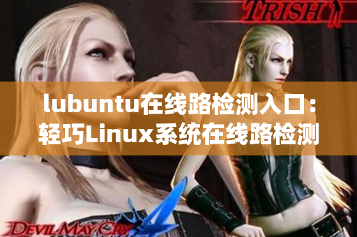 lubuntu在線(xiàn)路檢測(cè)入口：輕巧Linux系統(tǒng)在線(xiàn)路檢測(cè)服務(wù)