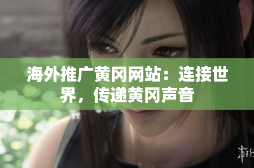海外推廣黃岡網(wǎng)站：連接世界，傳遞黃岡聲音