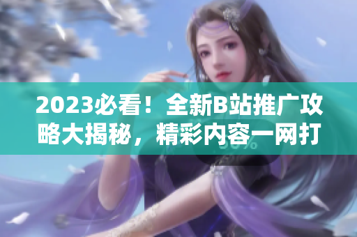 2023必看！全新B站推廣攻略大揭秘，精彩內(nèi)容一網(wǎng)打盡