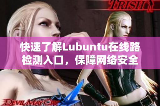 快速了解Lubuntu在線路檢測(cè)入口，保障網(wǎng)絡(luò)安全