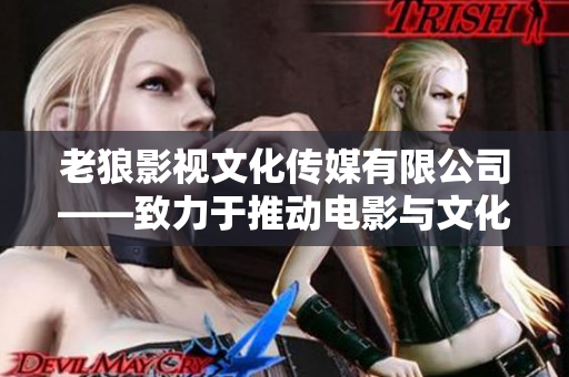老狼影視文化傳媒有限公司——致力于推動(dòng)電影與文化交流的先鋒企業(yè)